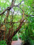 Birds and Bees Resort