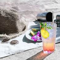 Birds and Bees Resort