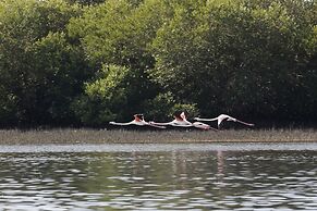 Flamingo Beach Hotel