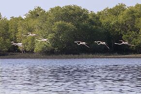 Flamingo Beach Hotel