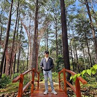 vKirirom Pine Resort