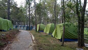 vKirirom Pine Resort