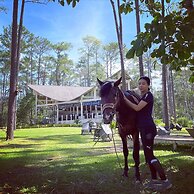 vKirirom Pine Resort