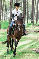 vKirirom Pine Resort