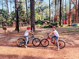 vKirirom Pine Resort