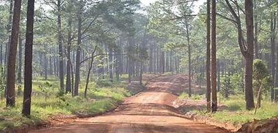 vKirirom Pine Resort