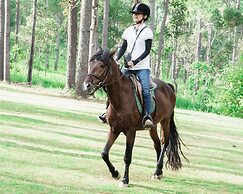 vKirirom Pine Resort