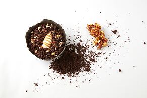 Hotel Le Narcisse Blanc & Spa