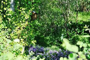 Craigmhor Lodge & Courtyard