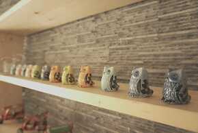 Beluga Guest House - Hostel