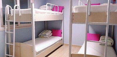 Beluga Guest House - Hostel