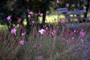 Les Terrasses de Gordes