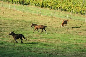 Chianti Yoga - The Tuscan Collection