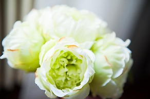 Piccarda Bed and Breakfast