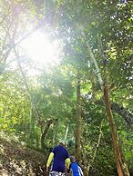 Table Rock Jungle Lodge