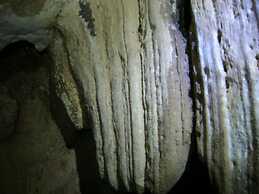 Table Rock Jungle Lodge