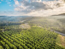 Table Rock Jungle Lodge