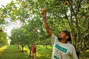 Table Rock Jungle Lodge