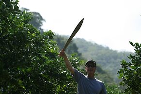 Table Rock Jungle Lodge