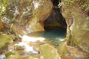 Table Rock Jungle Lodge