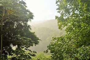 Table Rock Jungle Lodge