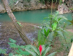 Table Rock Jungle Lodge