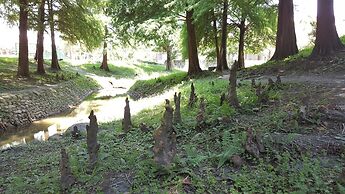 Dongshan River Left bank B&B