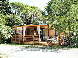 Zaton Holiday Resort Camping homes