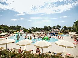 Zaton Holiday Resort Camping homes