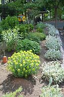 Phytoncide Morinokaori