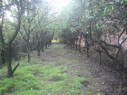 Centro de Naturaleza Cañada Verde