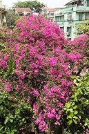 Bentleys Hotel Colaba