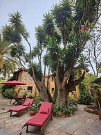 Casa Rural El Borbullón