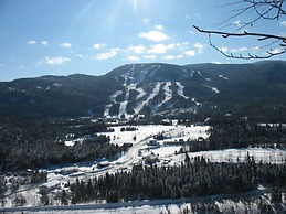 Chalets Sur Le Fjord