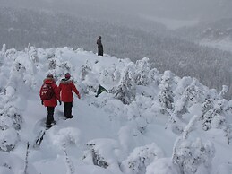 Chalets Sur Le Fjord