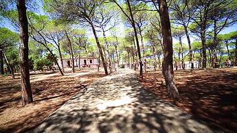 Villaggio dei Pini