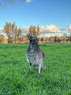 The Shiralee - Hostel