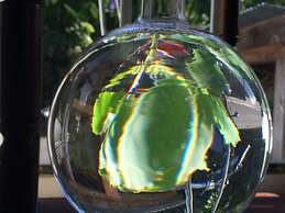 Guest House Shirahama R cafe – Caters to Women - Hostel