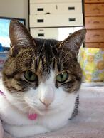 Guest House Shirahama R cafe – Caters to Women - Hostel