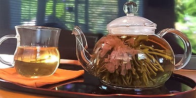 Guest House Shirahama R cafe – Caters to Women - Hostel