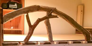 Guest House Shirahama R cafe – Caters to Women - Hostel