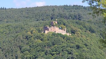 Bed & Breakfast No. 31 im Rosengarten