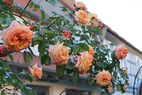 Bed & Breakfast No. 31 im Rosengarten
