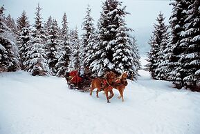 Hotel Enzian by Alpeffect Hotels