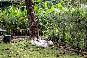 Blu Monkey Pooltara Krabi Hotel and Villas