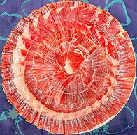 Hostal Real Aranjuez