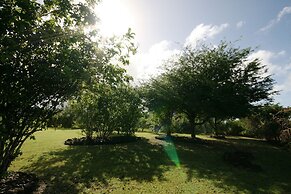 Channel View