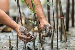 The St. Regis Langkawi