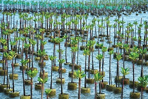 The St. Regis Langkawi