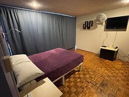 B&B México Roma Norte